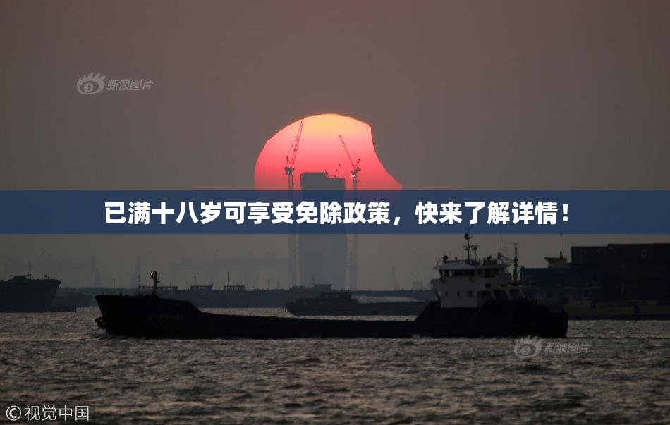已满十八岁可享受免除政策，快来了解详情！