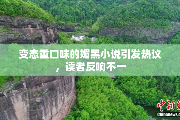 变态重口味的媚黑小说引发热议，读者反响不一