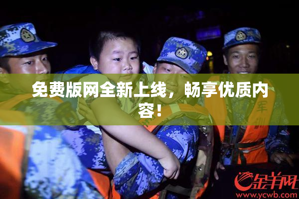 免费版网全新上线，畅享优质内容！