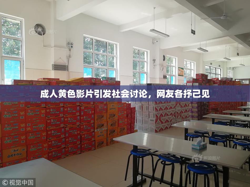 成人黄色影片引发社会讨论，网友各抒己见