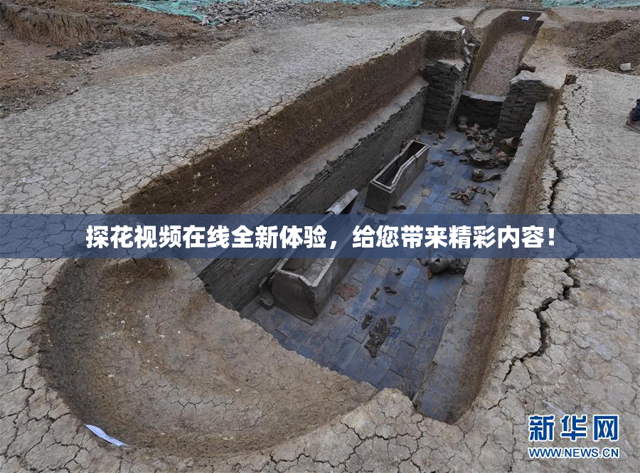 探花视频在线全新体验，给您带来精彩内容！