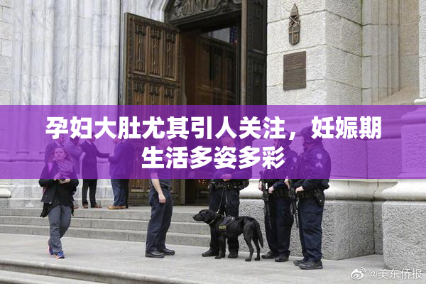 孕妇大肚尤其引人关注，妊娠期生活多姿多彩