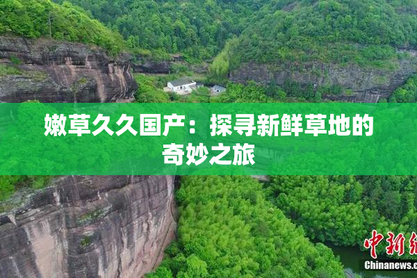 嫩草久久国产：探寻新鲜草地的奇妙之旅