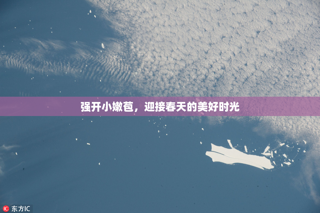 强开小嫩苞，迎接春天的美好时光