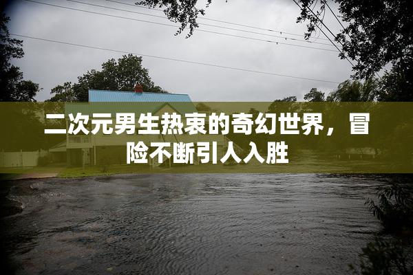 二次元男生热衷的奇幻世界，冒险不断引人入胜
