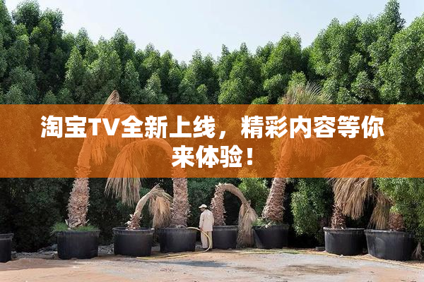淘宝TV全新上线，精彩内容等你来体验！
