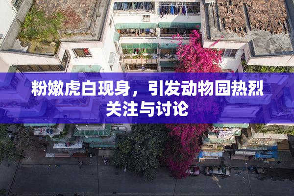粉嫩虎白现身，引发动物园热烈关注与讨论