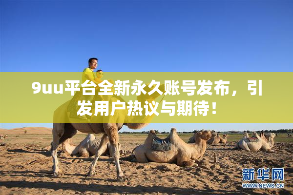 9uu平台全新永久账号发布，引发用户热议与期待！