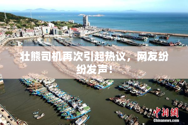壮熊司机再次引起热议，网友纷纷发声！