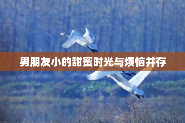 男朋友小的甜蜜时光与烦恼并存