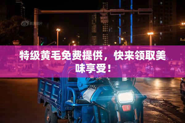 特级黄毛免费提供，快来领取美味享受！