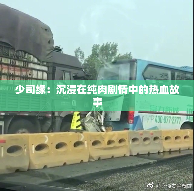 少司缘：沉浸在纯肉剧情中的热血故事