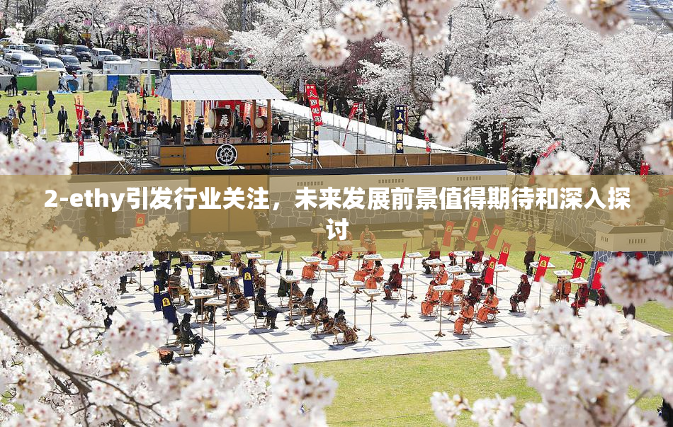2-ethy引发行业关注，未来发展前景值得期待和深入探讨