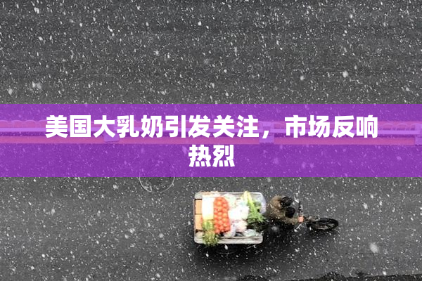 美国大乳奶引发关注，市场反响热烈