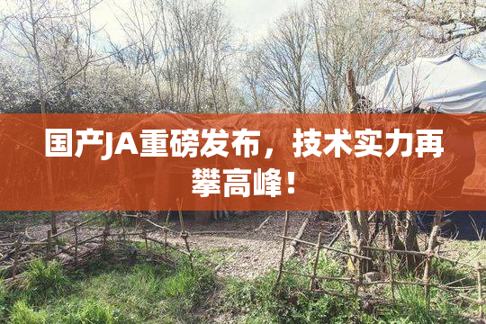 国产JA重磅发布，技术实力再攀高峰！