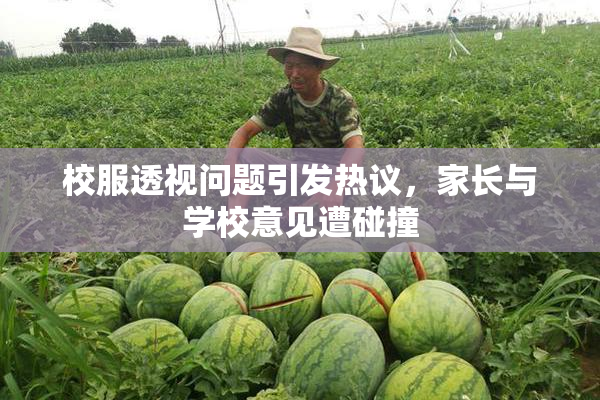 校服透视问题引发热议，家长与学校意见遭碰撞