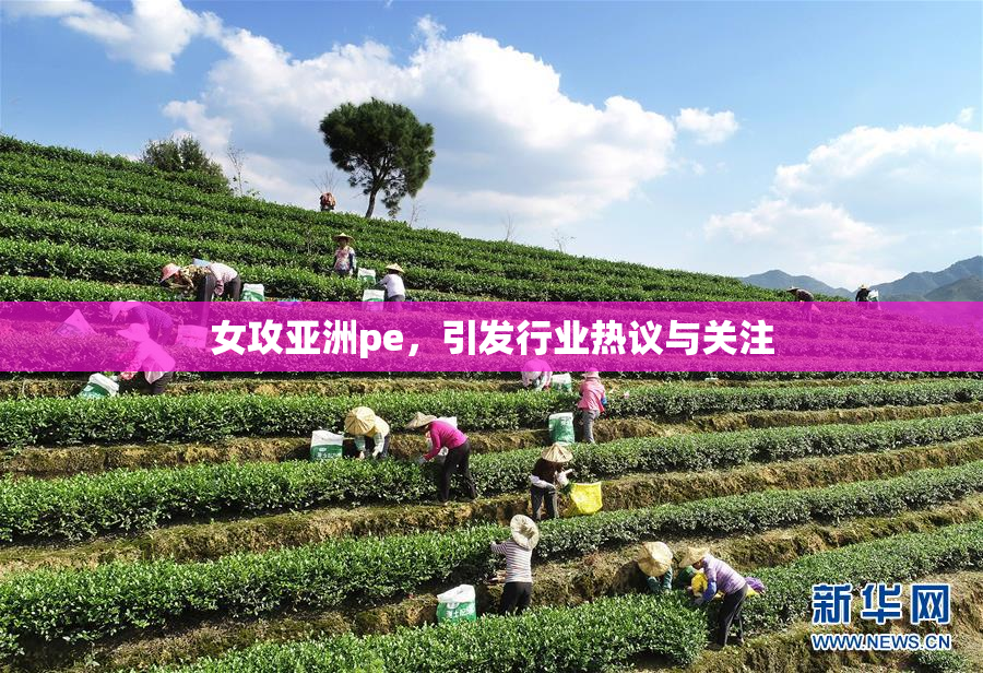 女攻亚洲pe，引发行业热议与关注
