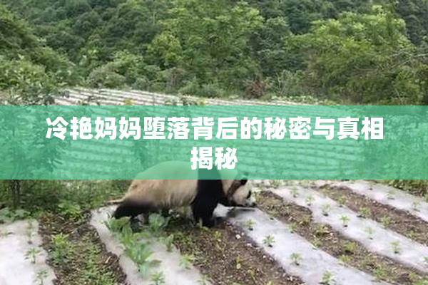 冷艳妈妈堕落背后的秘密与真相揭秘