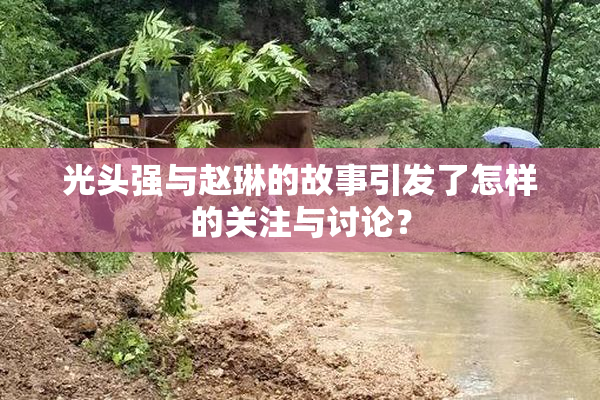 光头强与赵琳的故事引发了怎样的关注与讨论？