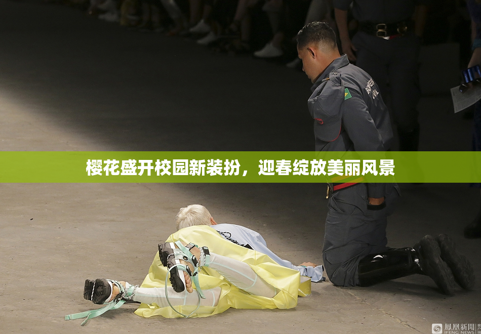 樱花盛开校园新装扮，迎春绽放美丽风景