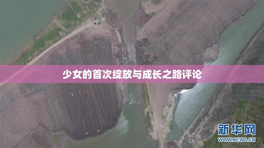 少女的首次绽放与成长之路评论