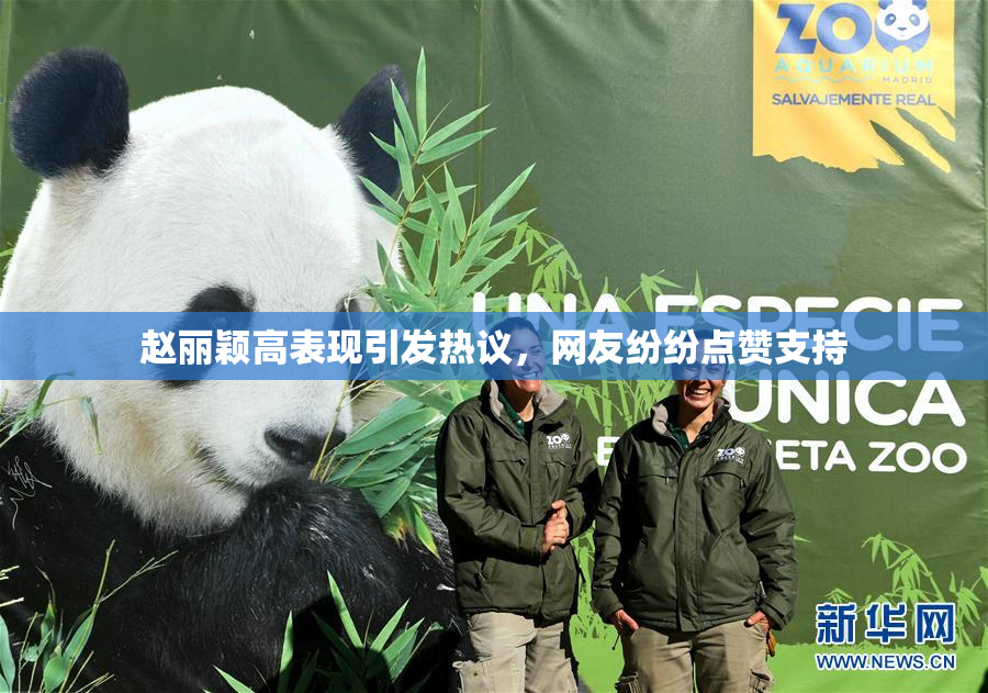 赵丽颖高表现引发热议，网友纷纷点赞支持