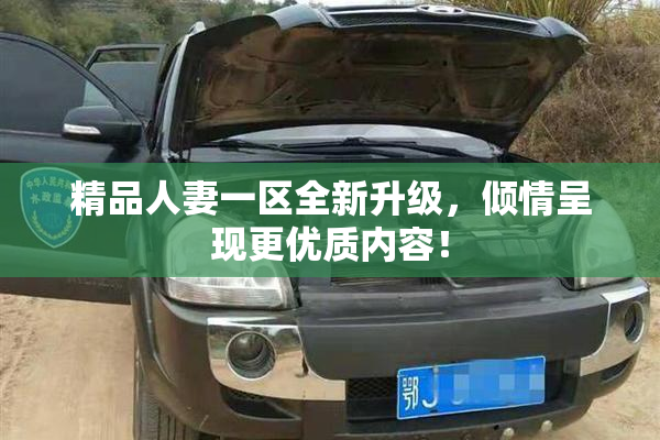 精品人妻一区全新升级，倾情呈现更优质内容！