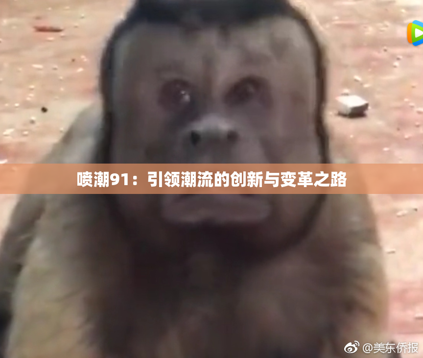 喷潮91：引领潮流的创新与变革之路