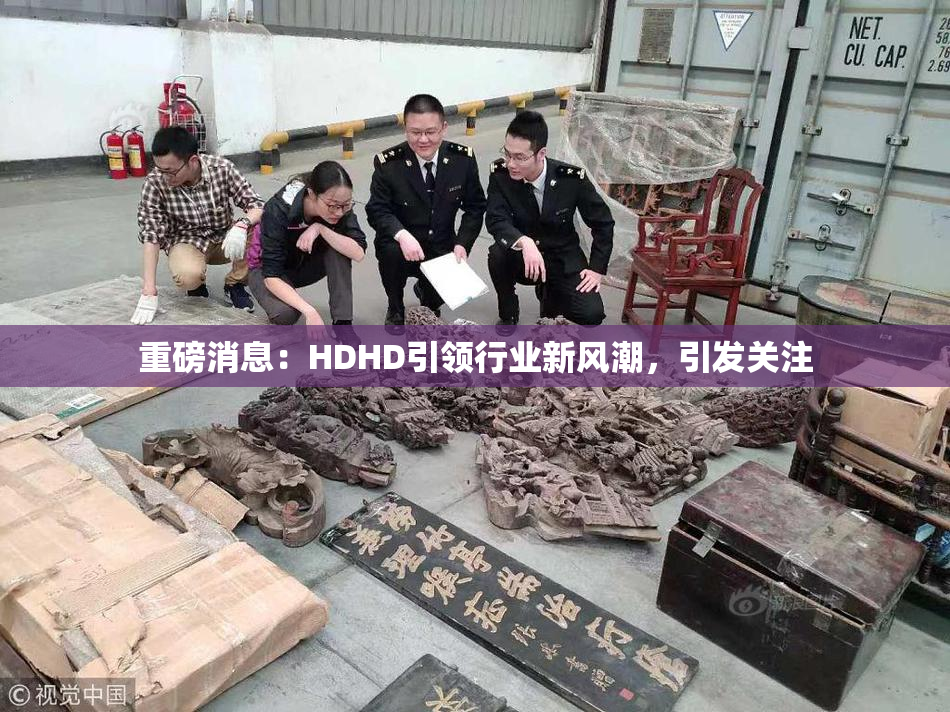 重磅消息：HDHD引领行业新风潮，引发关注