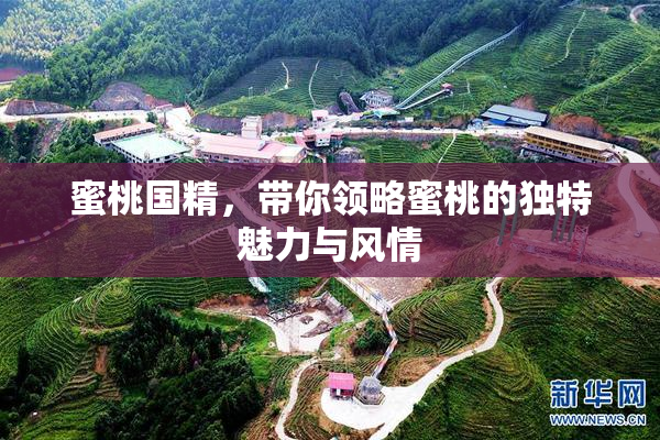 蜜桃国精，带你领略蜜桃的独特魅力与风情