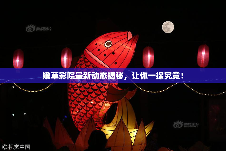 嫩草影院最新动态揭秘，让你一探究竟！