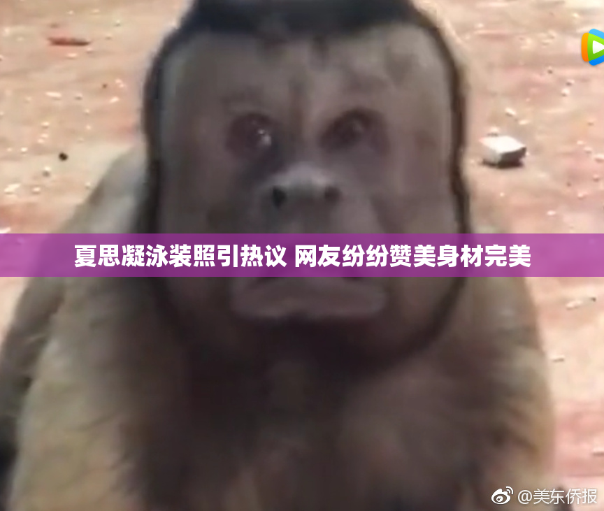 夏思凝泳装照引热议 网友纷纷赞美身材完美