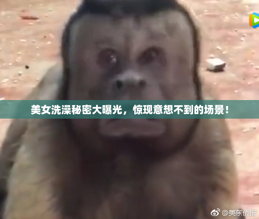 美女洗澡秘密大曝光，惊现意想不到的场景！