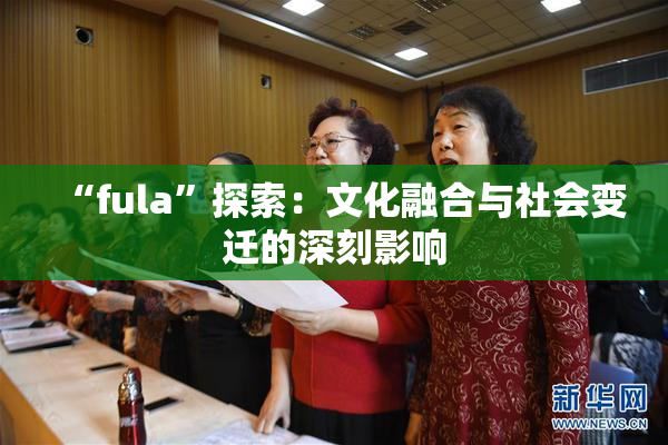 “fula”探索：文化融合与社会变迁的深刻影响