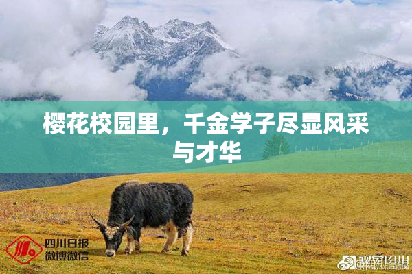 樱花校园里，千金学子尽显风采与才华