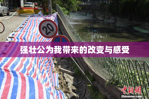 强壮公为我带来的改变与感受