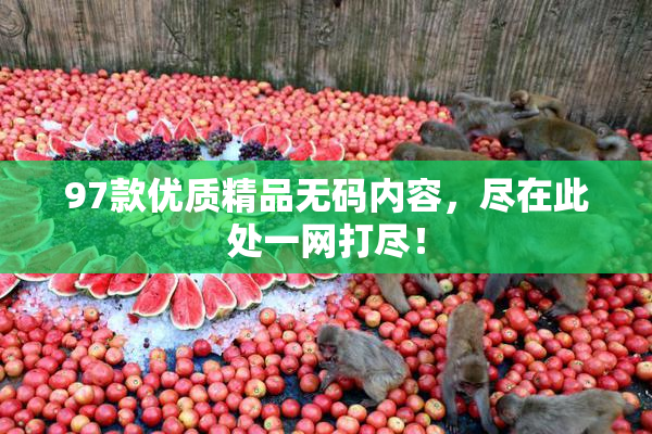 97款优质精品无码内容，尽在此处一网打尽！