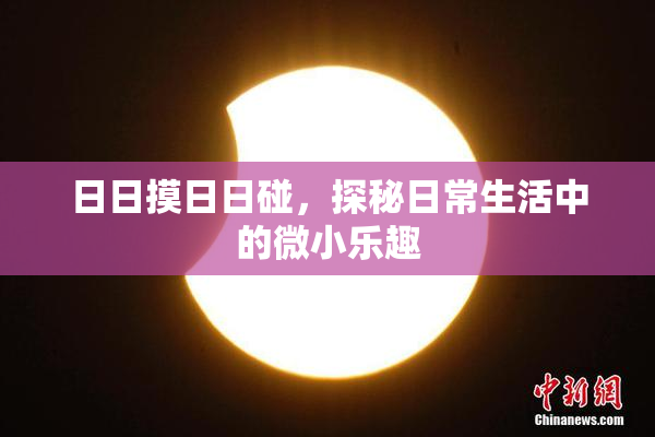 日日摸日日碰，探秘日常生活中的微小乐趣
