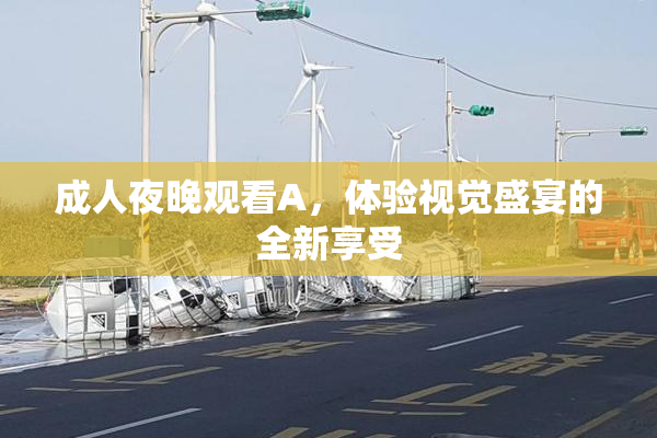 成人夜晚观看A，体验视觉盛宴的全新享受