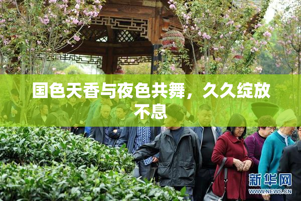 国色天香与夜色共舞，久久绽放不息