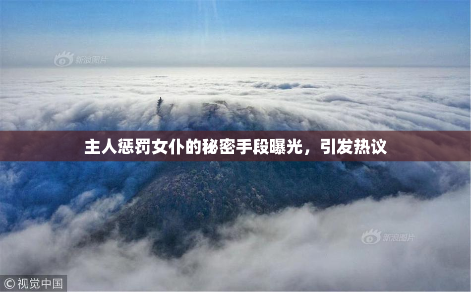 主人惩罚女仆的秘密手段曝光，引发热议