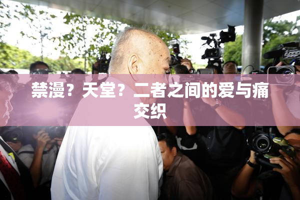 禁漫？天堂？二者之间的爱与痛交织