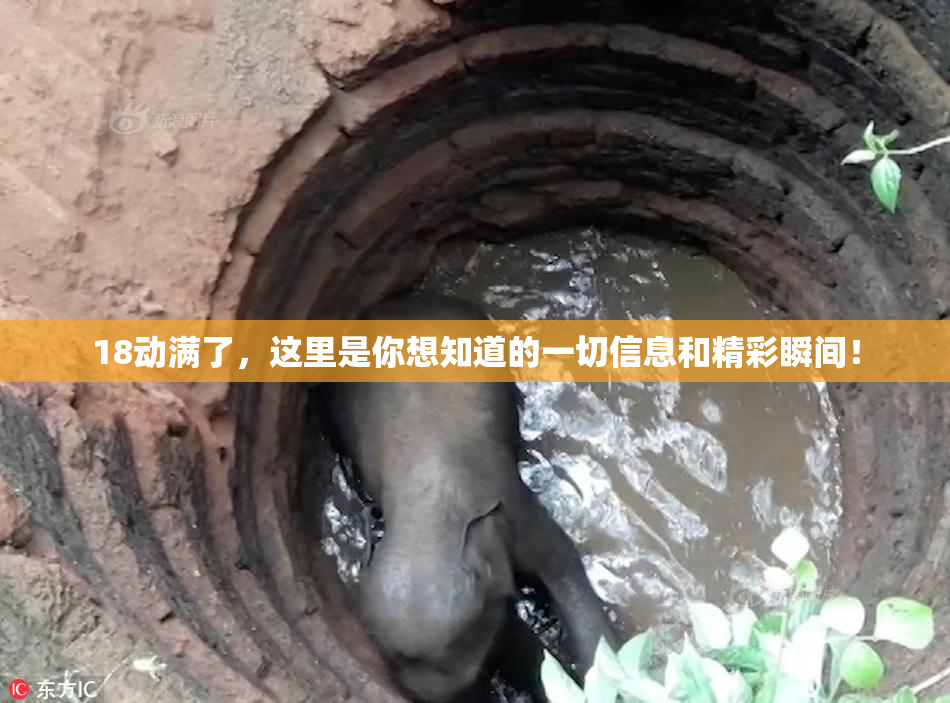 18动满了，这里是你想知道的一切信息和精彩瞬间！