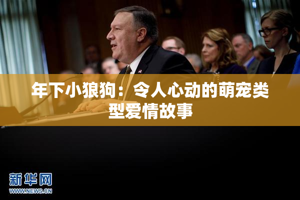 年下小狼狗：令人心动的萌宠类型爱情故事