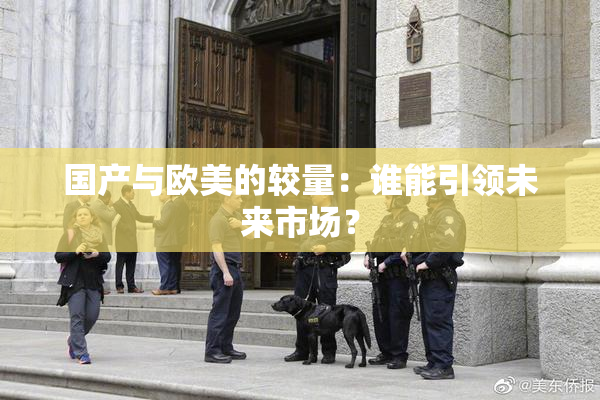 国产与欧美的较量：谁能引领未来市场？