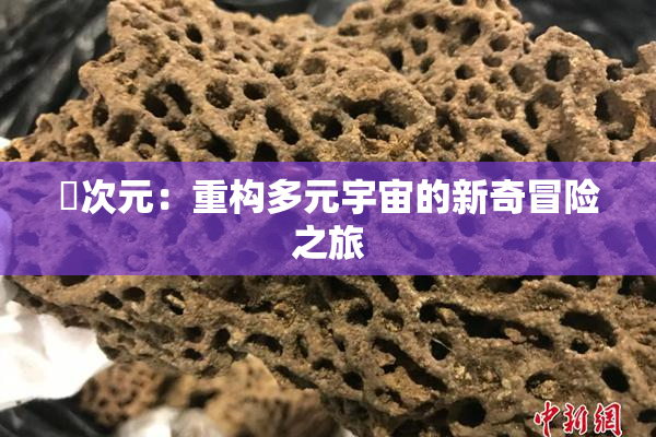 囧次元：重构多元宇宙的新奇冒险之旅