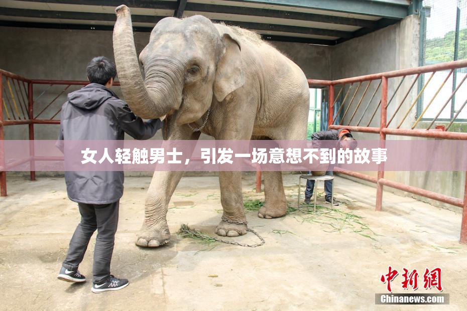 女人轻触男士，引发一场意想不到的故事