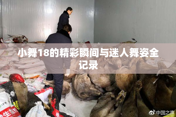 小舞18的精彩瞬间与迷人舞姿全记录