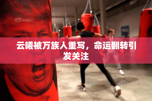 云曦被万族人重写，命运翻转引发关注