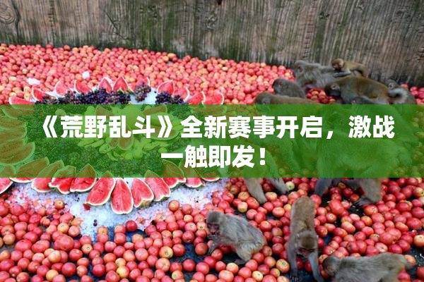 《荒野乱斗》全新赛事开启，激战一触即发！